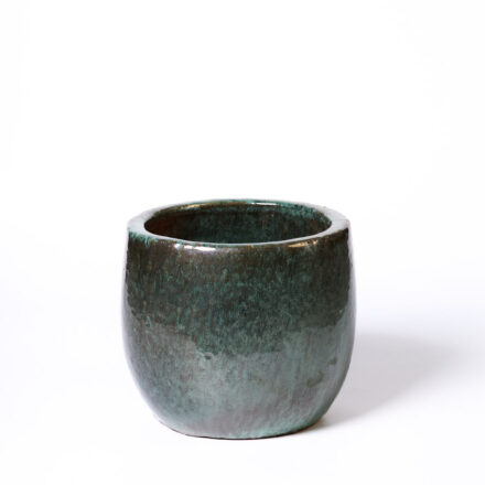 Саксия Jarden Jade