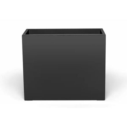 Саксия Anniversary 50th