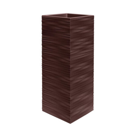 Cаксия Divo Elegance